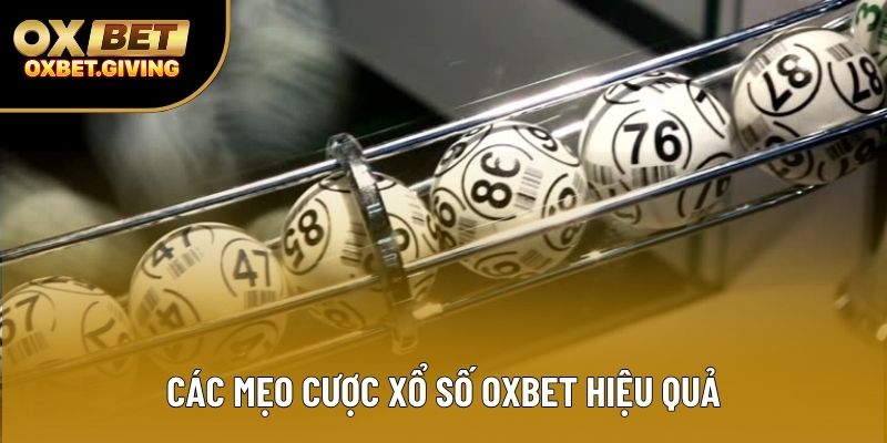 Các mẹo cược xổ số OXBET hiệu quả