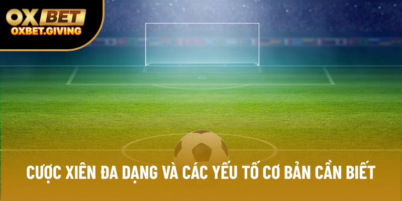 Cược xiên đa dạng và các yếu tố cơ bản cần biết