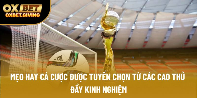 Mẹo hay cá cược được tuyển chọn từ các cao thủ đầy kinh nghiệm