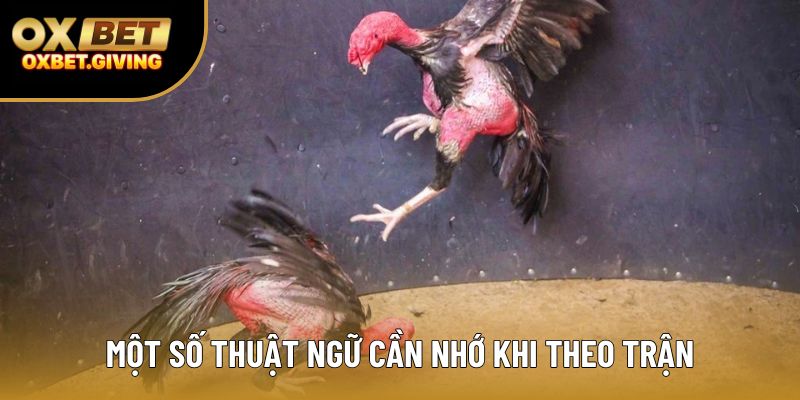 Một số thuật ngữ cần nhớ khi theo trận